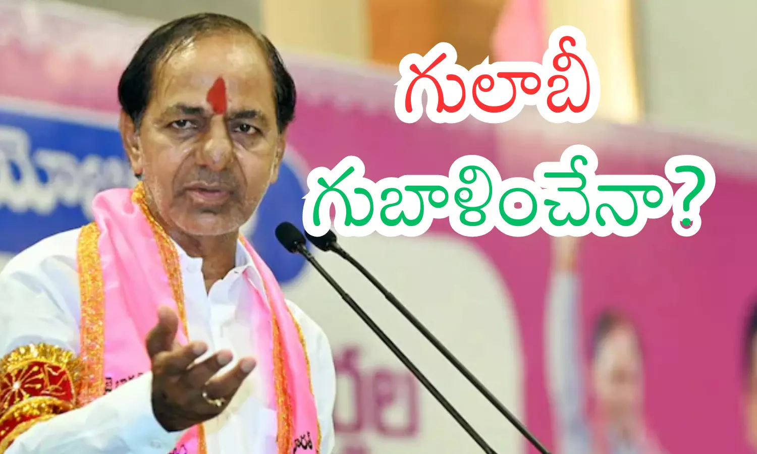 local body elections, kcr brs chief, groups in the party,  telangana politics