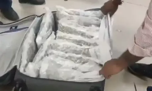 huge drug bust, 5.5 kg cocaine , worth rs 82 crore seized, delhi airport