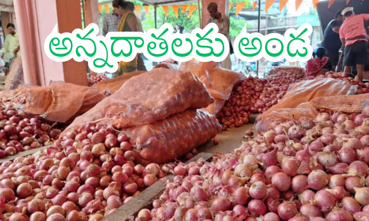 chief minister chandrababu naidu, given good news to onion farmers, minimum support prices, andhra pradesh