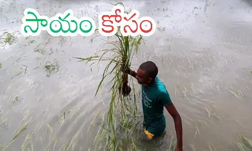 farmers in telangana have suffered, suffered severe losses due to recent heavy rains and cloud bursts,  medak, sangareddy, kamareddy, telangana