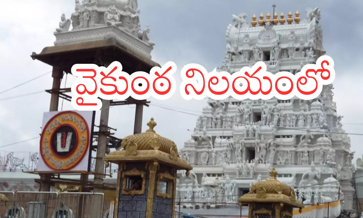 rush of devotees,  sunday crowd, twelve compartmants, darsan time today in tirumala