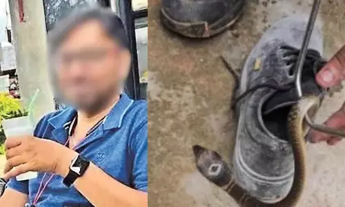 snake, slipper,prakesh