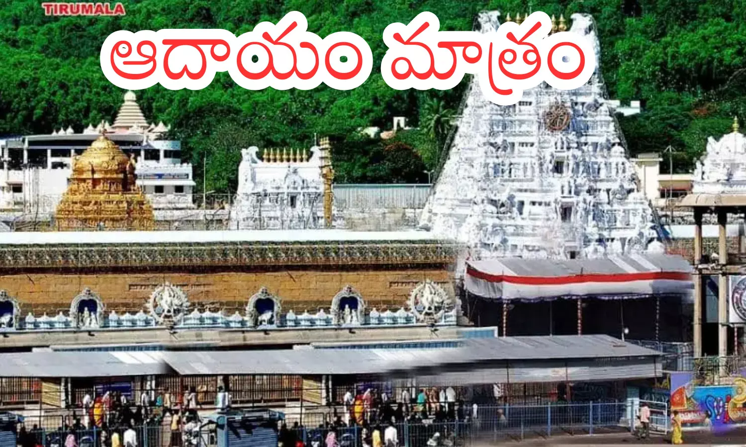 rush of devotees in tirumala,  since it is tuesday normal,  six compartments, today darsan time in tiumala