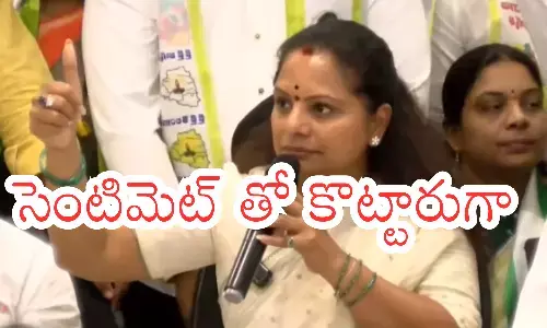 kalvakuntla kavitha, kcr, ktr, telangana politics