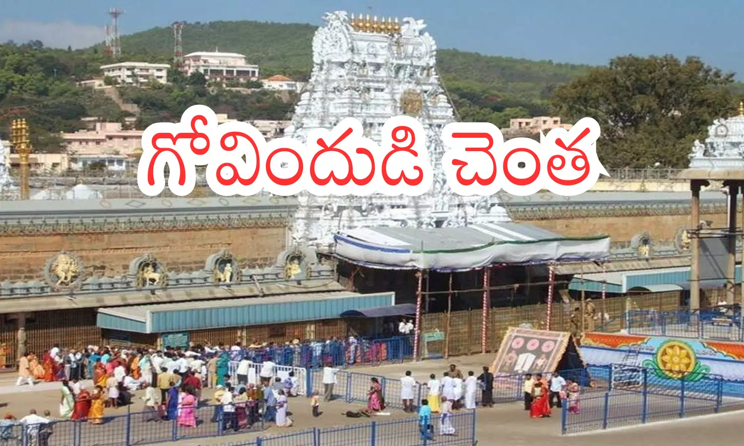 rush of devotees in tirumala, normal it must be said that since it is a thursday, rush of devotees is not that much, today darsan time in tirumala rush of devotees in tirumala, normal it must be said that since it is a thursday, rush of devotees is not that much, today darsan time in tirumala