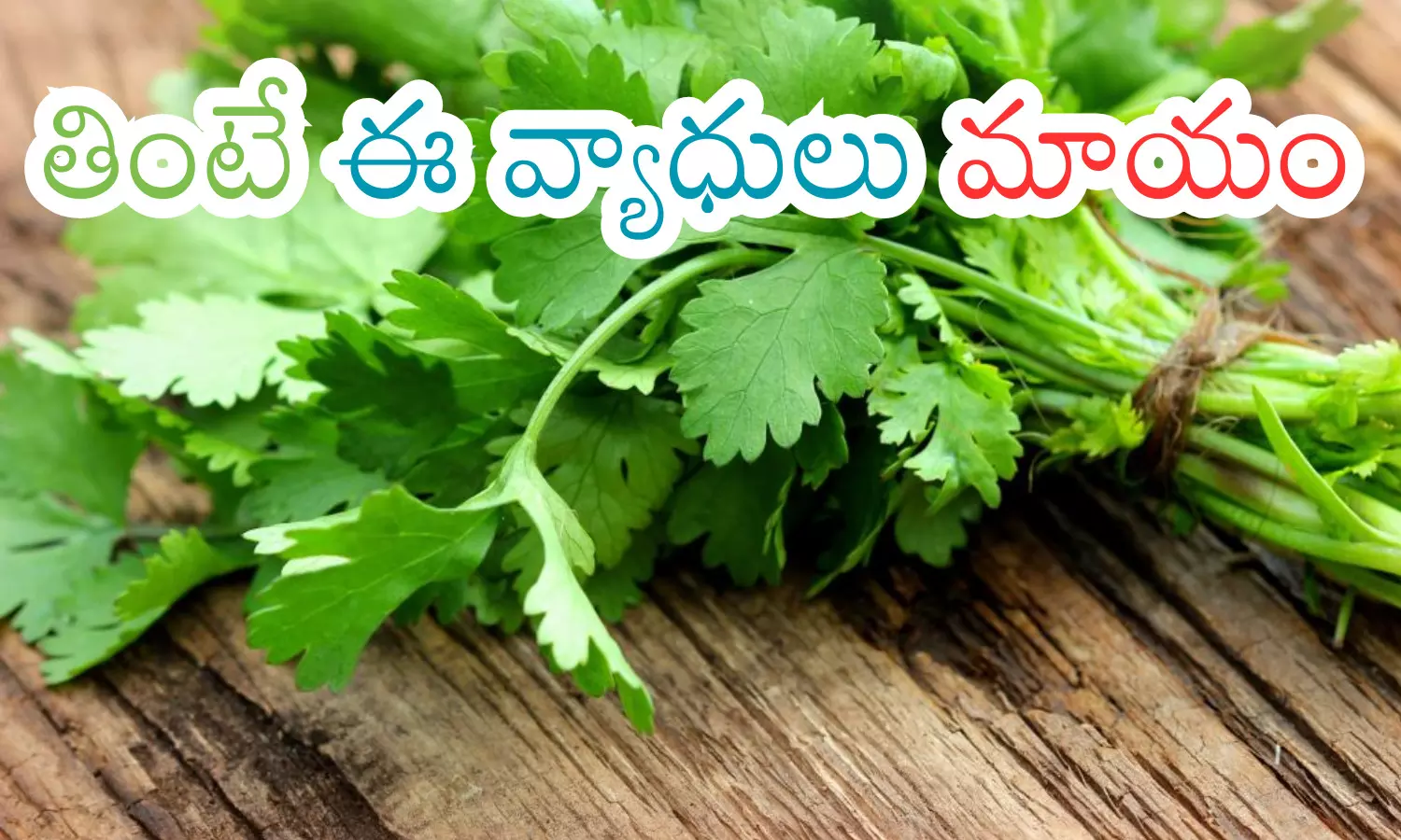 coriander, heath, vegitables, india