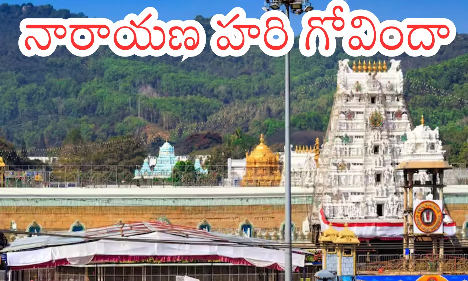 rush of devotees continues,  even on thursday, the rush of devotees in tirumala, twenty two compartmants, today darsan time in tirumala