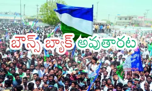 ysr congress party, local body elections in andhra pradesh, bounce back in three months, andhra pradesh politics
