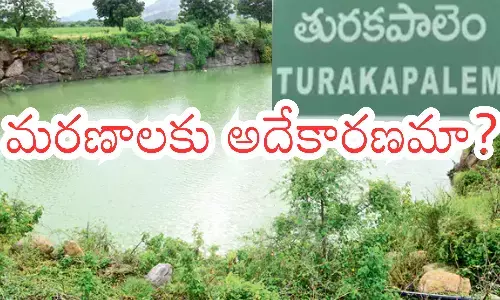 deaths of more than thirty people, turakapalem,guntur district, reasons of deaths, andhra pradesh
