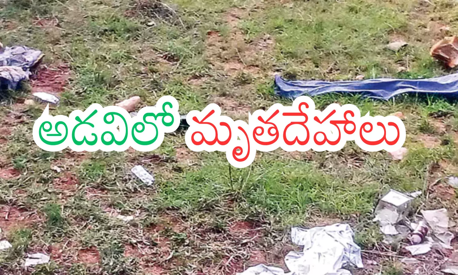 dead bodies are causing a stir, two bodies have been found , in a forest area, tirupati district dead bodies are causing a stir, two bodies have been found , in a forest area, tirupati district