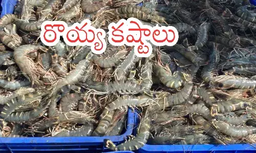 aqua farmers, facing serious difficulties, andhra pradesh, india