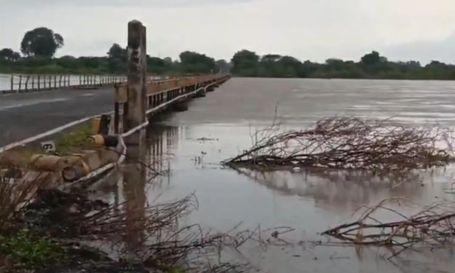 godavari river is flowing heavily, ue to heavy rains,  traffic between telangana and maharashtra, manjeera river