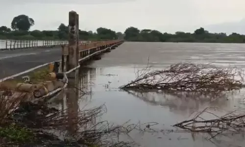 godavari river is flowing heavily, ue to heavy rains,  traffic between telangana and maharashtra, manjeera river