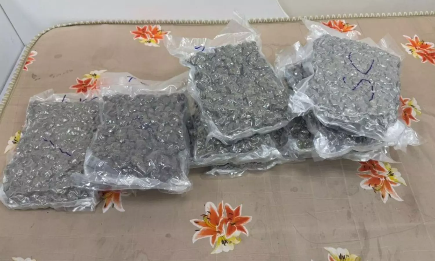 ఆర్జీఐఏ వద్ద రూ.12 కోట్లు విలువైన హైడ్రోపోనిక్ గంజాయి స్వాధీనం