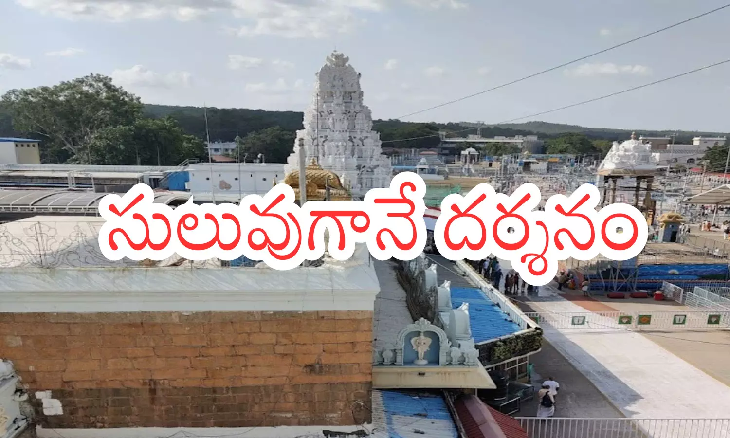 crowd of devotees, less. since it is tuesday, five compartments, today darsan time in tirumala
