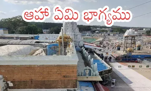 less crowd of devotees,  being wednesday, the crowd of devotees is lesss, direct line, tirumala