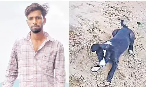 పెంపుడు కుక్క గోరు గుచ్చుకొని