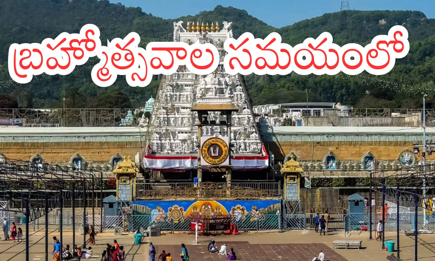 rush of devotees, despite it being thursday and brahmotsavams, seven comparments, tirumala rush of devotees, despite it being thursday and brahmotsavams, seven comparments, tirumala
