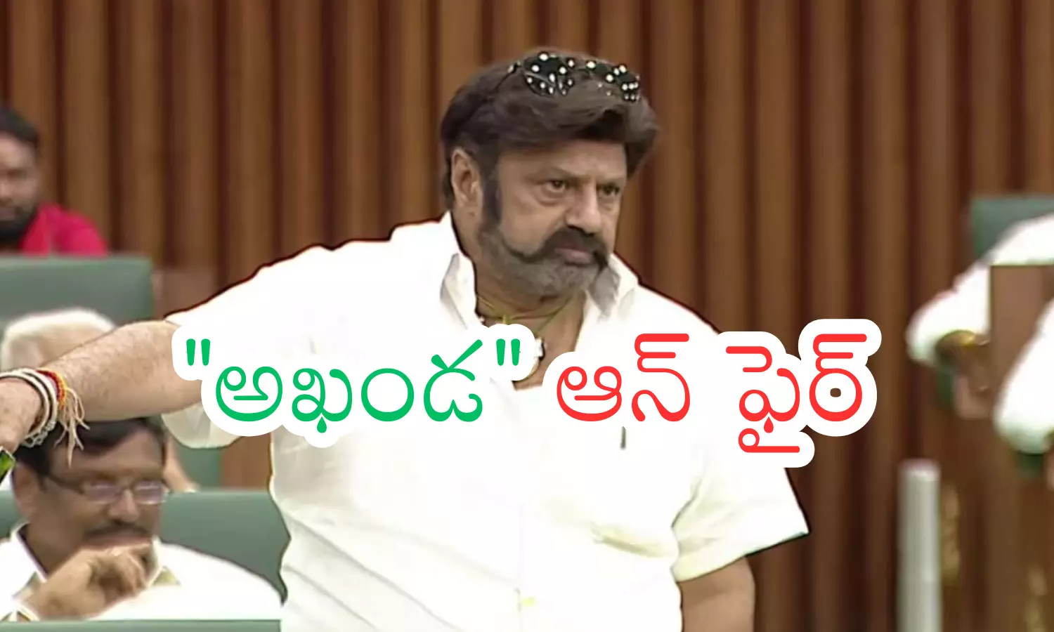balakrishna assembly speech, nandamuri balakrishna controversy, andhra news, telugu latest news balakrishna assembly speech, nandamuri balakrishna controversy, andhra news, telugu latest news