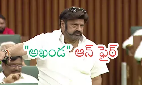 balakrishna assembly speech, nandamuri balakrishna controversy, andhra news, telugu latest news