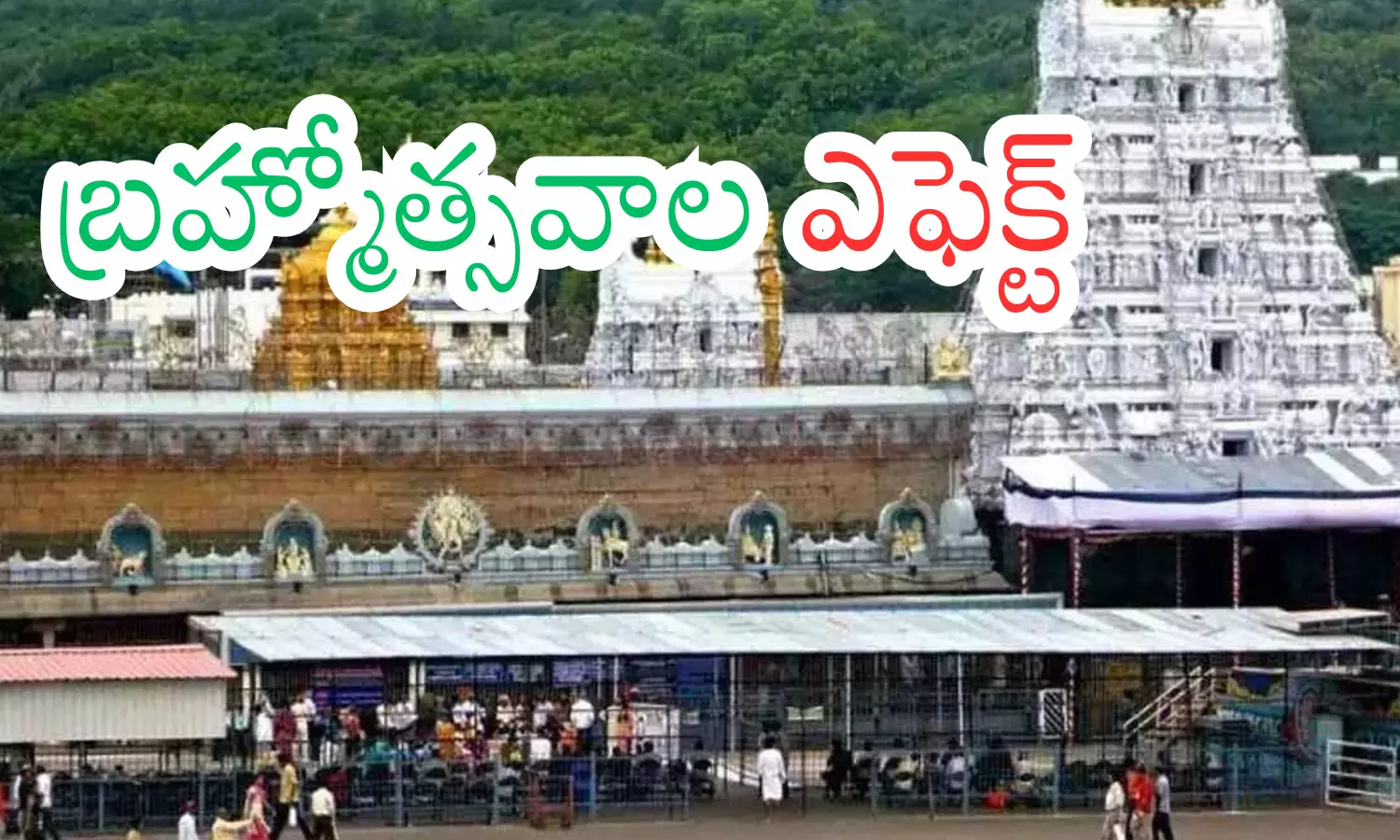 rush of devotees has increased, since it is friday, the rush of devotees is higher today, sixteen compartments, tirumala