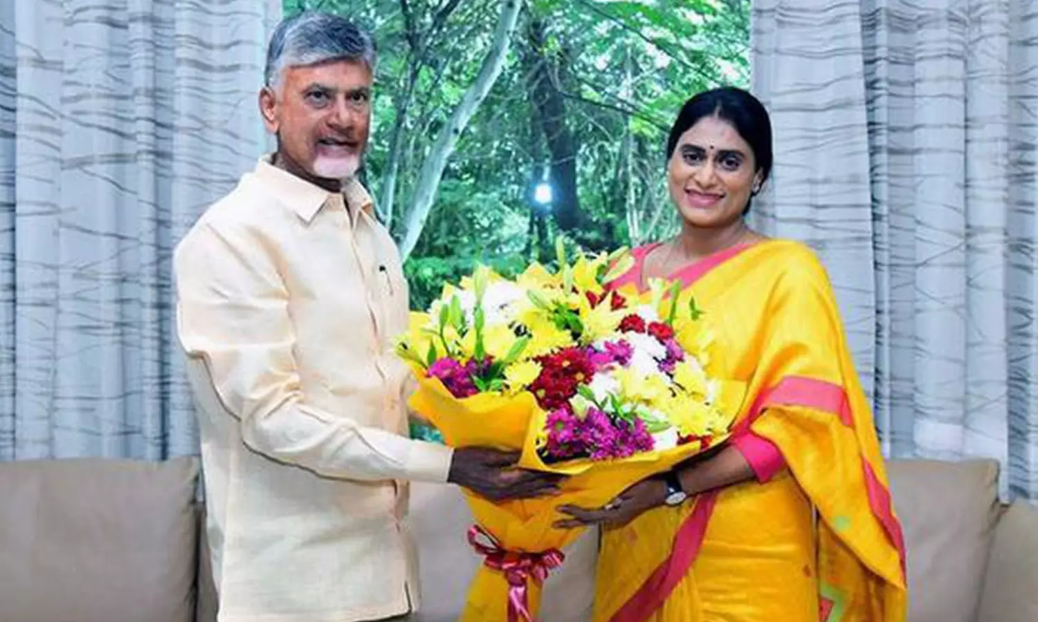 ys sharmila, will meet today, chandrababu naidu, andhra pradesh