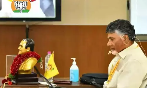 chandrababu, key remarks, tele conference, andhra pradesh