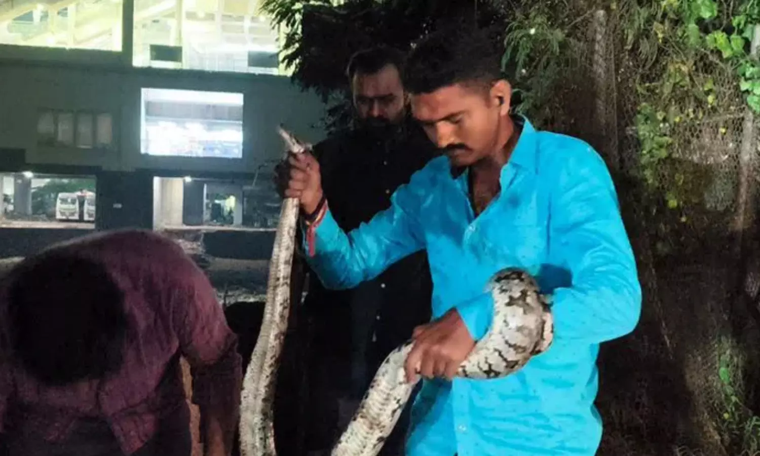 a python spotted near sai baba temple at chaderghat