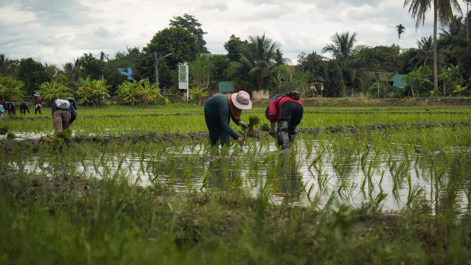Vigilance officials uncover ₹1.86 crore paddy procurement scam in Hanamkonda’s Shayampet mandal