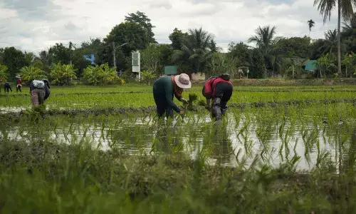 Vigilance officials uncover ₹1.86 crore paddy procurement scam in Hanamkonda’s Shayampet mandal