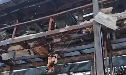 Breaking : బస్సులో మంటలు.. పన్నెండు మంది సజీవ దహనం