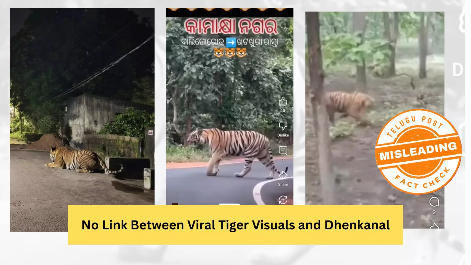 ଫ୍ୟାକ୍ଟ ଚେକ୍: ଭାଇରାଲ ହେଉଥିବା ବାଘ ଭିଡିଓ ସହ ନାହିଁ ଢେଙ୍କାନାଳ ଜିଲ୍ଲାର କୌଣସି ସମ୍ପର୍କ ଫ୍ୟାକ୍ଟ ଚେକ୍: ଭାଇରାଲ ହେଉଥିବା ବାଘ ଭିଡିଓ ସହ ନାହିଁ ଢେଙ୍କାନାଳ ଜିଲ୍ଲାର କୌଣସି ସମ୍ପର୍କ