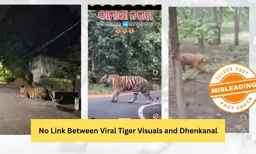 ଫ୍ୟାକ୍ଟ ଚେକ୍: ଭାଇରାଲ ହେଉଥିବା ବାଘ ଭିଡିଓ ସହ ନାହିଁ ଢେଙ୍କାନାଳ ଜିଲ୍ଲାର କୌଣସି ସମ୍ପର୍କ