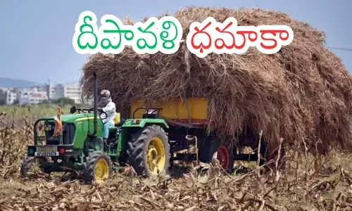 Andhra Pradesh : రైతులకు గుడ్ న్యూస్ చెప్పిన సర్కార్.. పండగకు ముందే నోరు తీపి