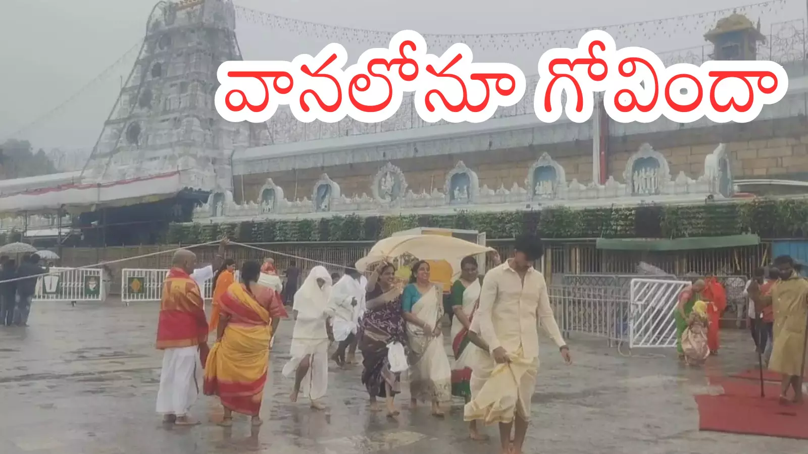 Tirumala : జోరున వర్షం... అయినా భక్తుల రద్దీ మాత్రం?