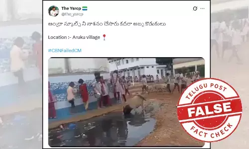 Fact Check: Viral video claiming to show a pig roaming near school is not from Araku, Andhra Pradesh