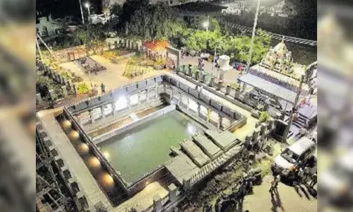 రుద్రమదేవి దిగిన బావిని బతికించారు