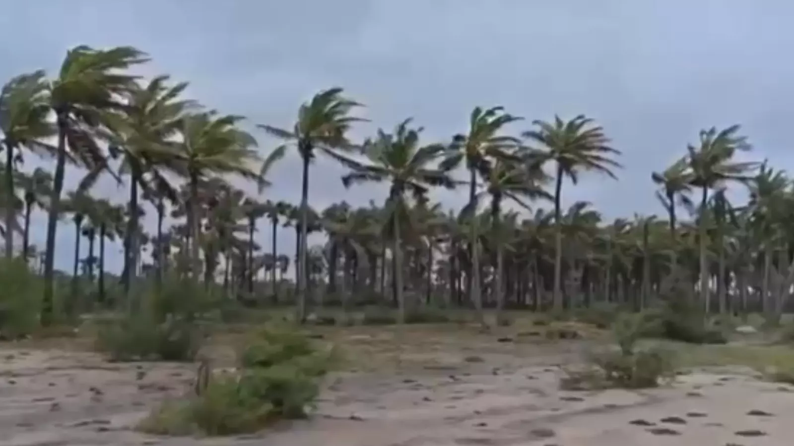 Andhra Pradesh : అంతర్వేది వద్ద పరిస్థితి ఇలా