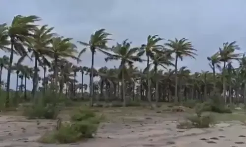 Andhra Pradesh : అంతర్వేది వద్ద పరిస్థితి ఇలా