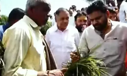 Pawan Kalyan : పొలాల్లో పవన్ కల్యాణ్