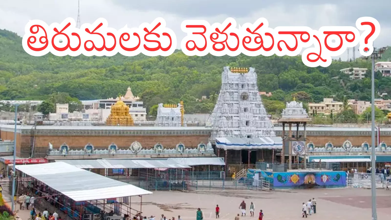 Tirumala : తిరుమలలో నేటి రద్దీ ఎలా ఉందంటే.. దర్శన సమయం? Tirumala : తిరుమలలో నేటి రద్దీ ఎలా ఉందంటే.. దర్శన సమయం?