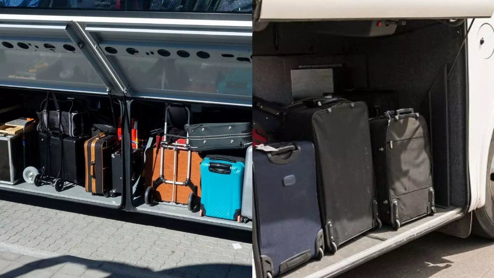 కార్గో క్యాబిన్లో పడుకున్న రెండో డ్రైవర్ కార్గో క్యాబిన్లో పడుకున్న రెండో డ్రైవర్