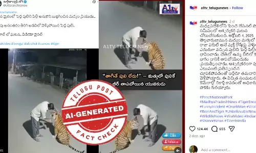 ఫ్యాక్ట్ చెక్:  మద్యం మత్తులో వ్యక్తి పులికి మద్యం తాగిస్తున్నట్టు చూపిస్తున్న వైరల్ విడియో నిజమైంది కాదు, ఏఐ తో చేసింది