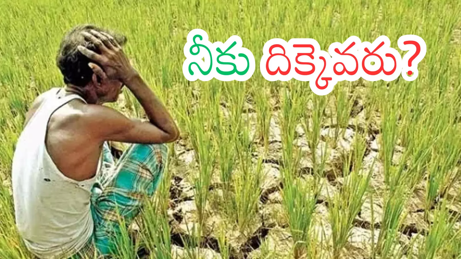 Andhra Pradesh : అన్నదాతలు.. ప్రతి ఏడాది బలిపశువు కావాల్సిందేనా? Andhra Pradesh : అన్నదాతలు.. ప్రతి ఏడాది బలిపశువు కావాల్సిందేనా?