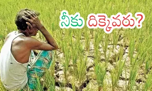 Andhra Pradesh : అన్నదాతలు.. ప్రతి ఏడాది బలిపశువు కావాల్సిందేనా?