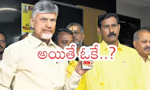TDP : రాష్ట్రమంతటా పాకేటట్లుందయ్యా... పట్టకపోతే అంటుకుంటుందేమో