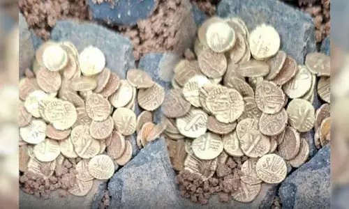 తిరువణ్ణామలై జిల్లాలో మట్టికుండలో బంగారు నాణేలు