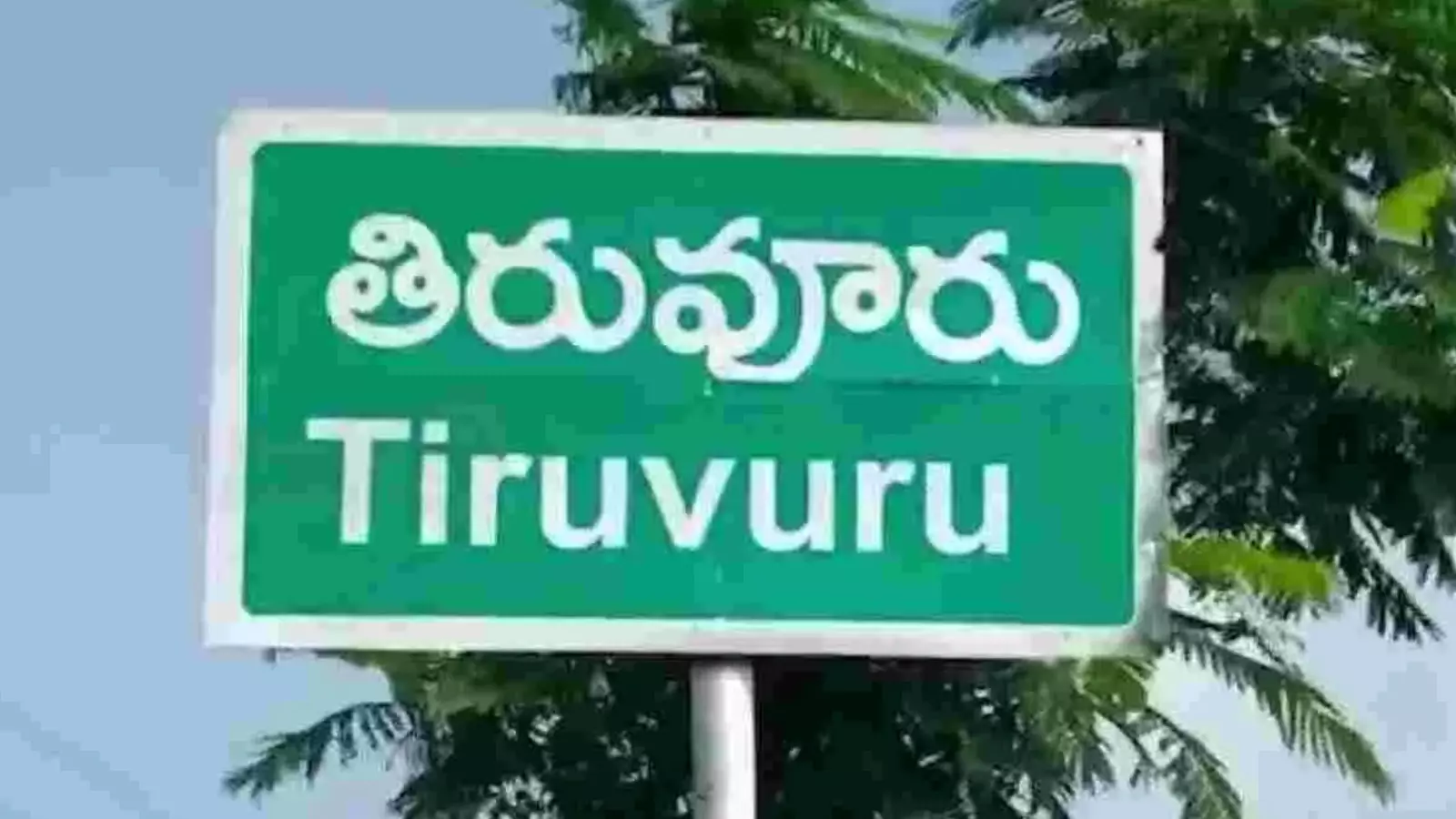 TDP : నేడు చంద్రబాబుకు తిరువూరు పై నివేదిక TDP : నేడు చంద్రబాబుకు తిరువూరు పై నివేదిక