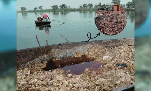 చేపలకు చికెన్‌‌ వేస్టేజీ కుళ్లిన గుడ్లు