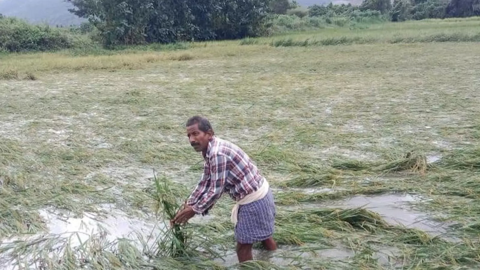 Andhra Pradesh : నేడు రాష్ట్రానికి కేంద్ర బృందం Andhra Pradesh : నేడు రాష్ట్రానికి కేంద్ర బృందం